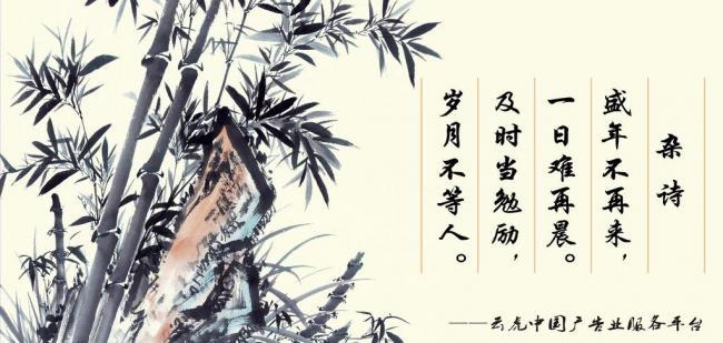 辦公室風(fēng)水?dāng)[件，助你事業(yè)風(fēng)生水起